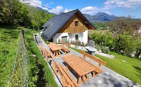 Apartmaji Gorenc